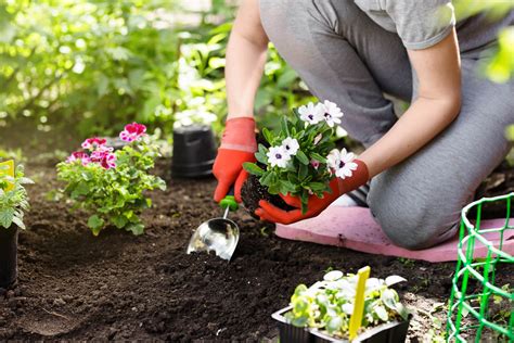 Top tips for gardening with sciatica - Sciatic Pain Relief Cushion