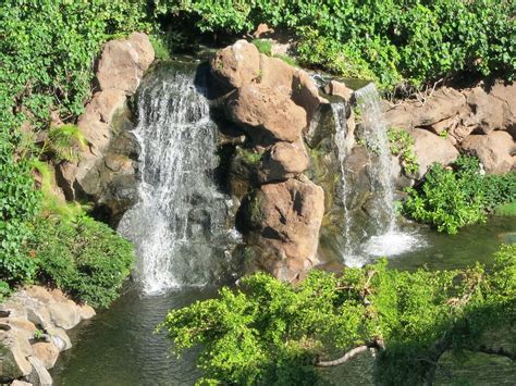 Hyatt Regency Maui Review - All You Need to Know