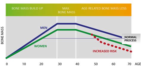 Bone density chart by age - dashmokasin