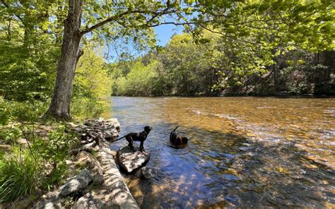 8 Beautiful River Walks & Trails in Connecticut