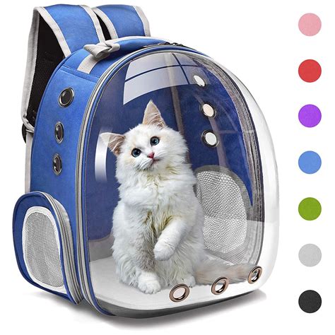 Top 10 Best Cat Backpack Carriers in 2023 Reviews | Buyer's Guide