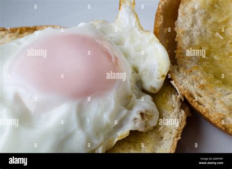 Close up shot of free range fried egg on a toasted, sliced bagel. Still whole and ready to eat ...