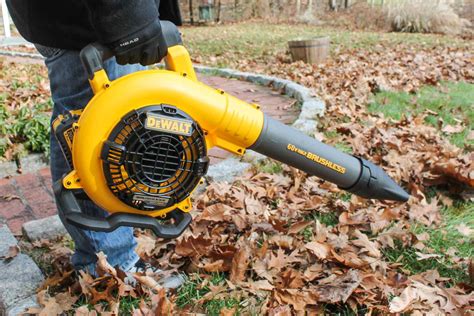 Best Cordless Leaf Blower 2020 at Power Equipment