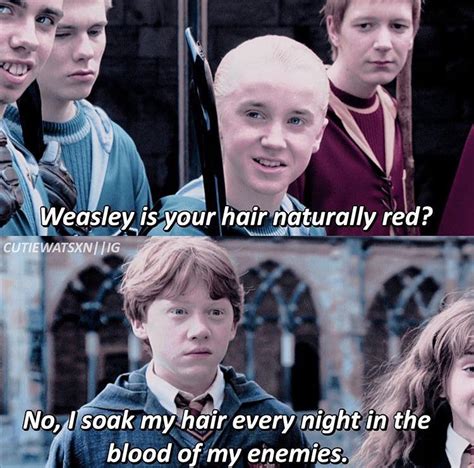 Oh Ron ! : r/HarryPotterMemes