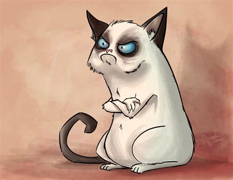 Grumpy Cat - Cats Fan Art (36877589) - Fanpop