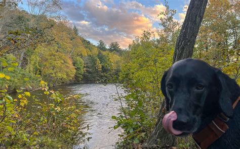 8 Beautiful River Walks & Trails in Connecticut