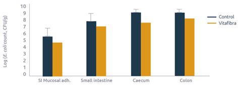 Competitive exclusion of E. coli improves intestinal health - Agrimprove - Agrimprove