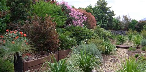 Native Australian Plants - Garden Design Made Easy - Ezyplant