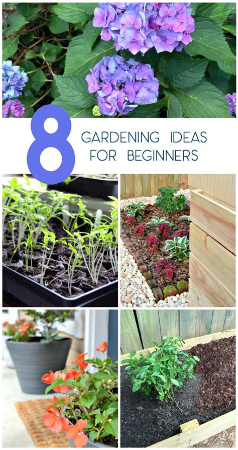 8 Easy Gardening Ideas for Beginners - Beth Bryan