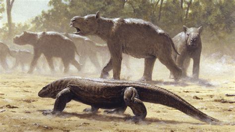 Giant reptiles once ruled Australia. Their loss sparked an ecological disaster | Science | AAAS