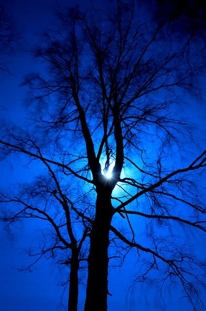 Blue Moon Light Wallpapers | Images Artists