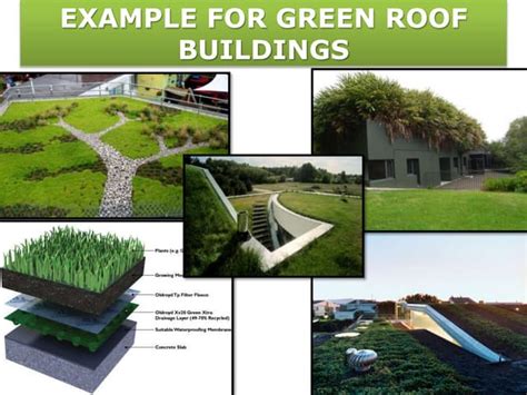 Example for green roof buildings | PPT