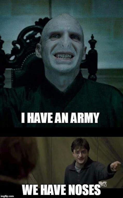 Pin by Maria Elder on Harry potter memes | Voldemort funny, Memes, Voldemort