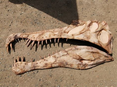 Spinosaurus aegyptiacus Life Sized Half Skull Wall Mount Replica — The Prehistoric Store