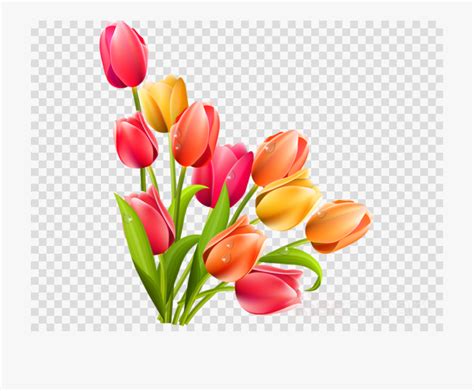 march flowers clipart 10 free Cliparts | Download images on Clipground 2024