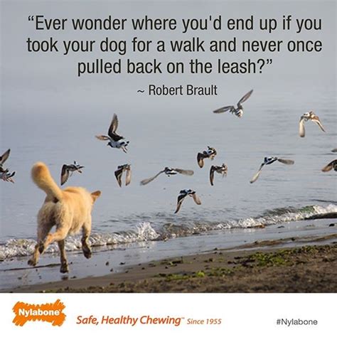 Funny Dog Walking Quotes - ShortQuotes.cc