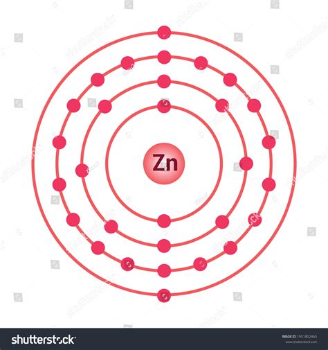 bohr model of the zinc atom. electron structure - Royalty Free Stock Vector 1951852465 - Avopix.com