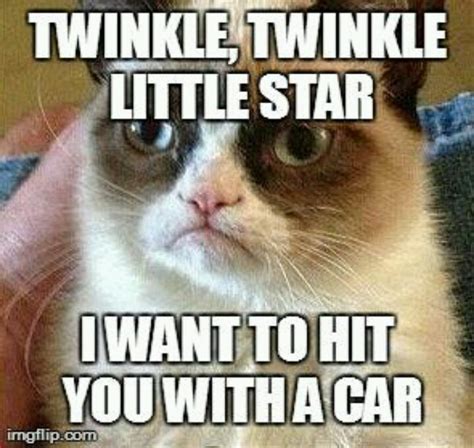 Grumpy Cat Quotes. QuotesGram