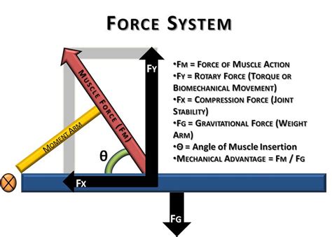 Force Diagrams Example for Science Class | Science, Body diagram, Science class