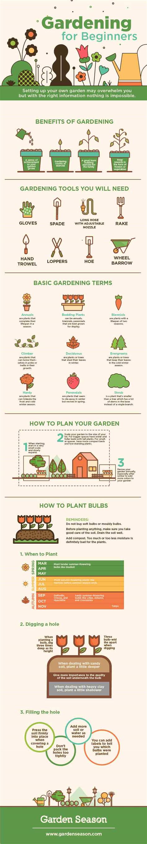 Gardening For Beginners | Basic Tips You Need For Starting A Garden