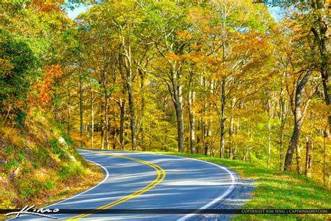 Blue Ridge Parkway Road Fall Colors Beautiful Orange Colors Nort | Royal Stock Photo