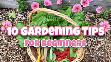 10 Gardening Tips For Beginners - Gardening Chronicle