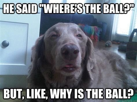 High Dog Meme Why Is The Ball