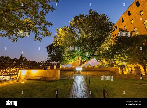 The Survivor Tree in the Oklahoma City National Memorial and Museum at Oklahoma, USA Stock Photo ...