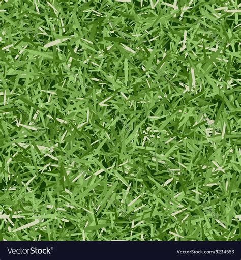 Grass texture Royalty Free Vector Image - VectorStock