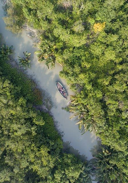 Check Out Everything About Sundarban Mangrove Forest | Tour De Sundarbans