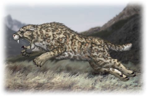 Scimitar Cat Homotherium serum by Talzhemir1 on deviantART