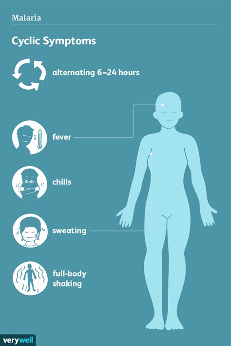 Malaria Signs Symptoms And Complications