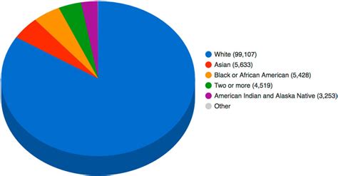 Racial Makeup Of Us Pie Chart Mugeek Vidalondon