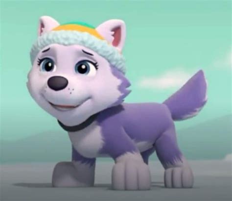 Everest On Twitter Paw Patrol Pups Everest Paw Patrol Paw Patrol