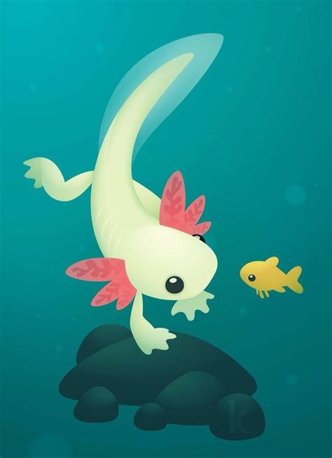 Adorable Axolotls Wallpapers Wallpaper Cave