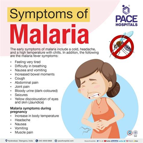 Malaria Symptoms Causes Types Complications Prevention