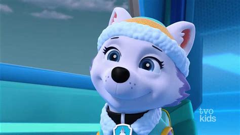 ️everest Paw Patrol ️ Everest Paw Patrol Paw Patrol Paw Patrol