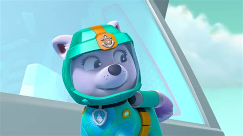 Image Paw Patrol Sea Patrol 422a Scene 35 Everestpng Paw Patrol