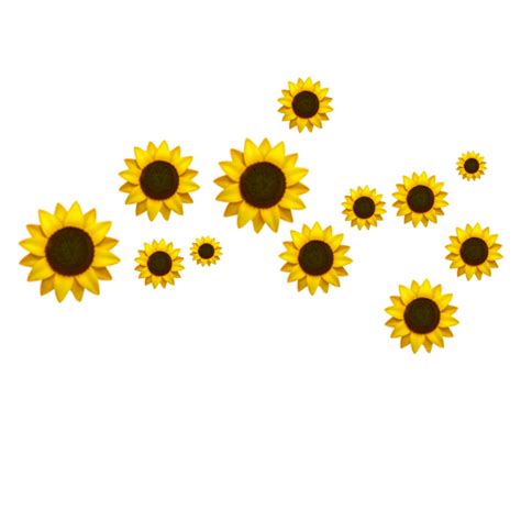 Aesthetic Sunflower Png Tumblr Wallpaper Png