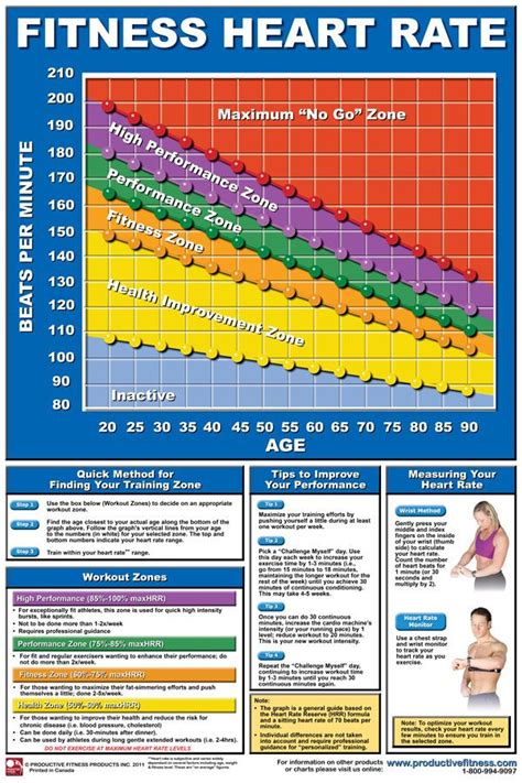 Heart Rate Chart Exercise