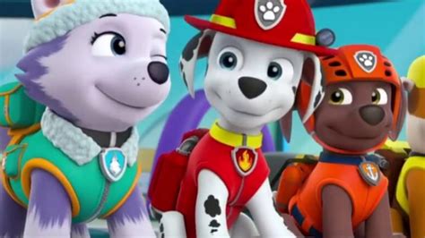 Paw Patrol Everest Youtube