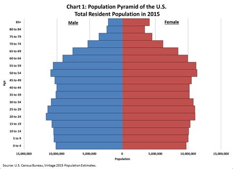 Demography And Population Growth Introduction To Sociology