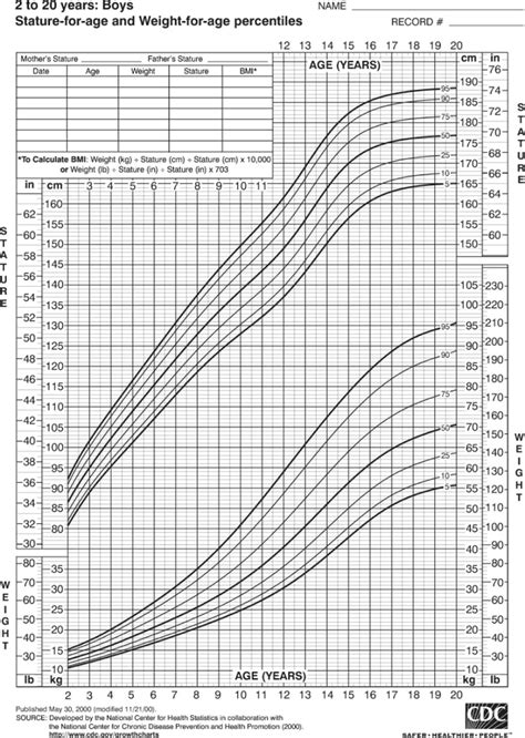 Baby Weight Charts Template Lab