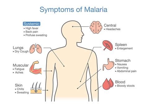 Targets For New Malaria Drugs Found By Scientists At Wellcome Sanger