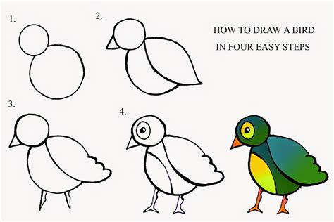 How To Draw A Bird In Four Easy Steps Disegni Facili Disegno Di