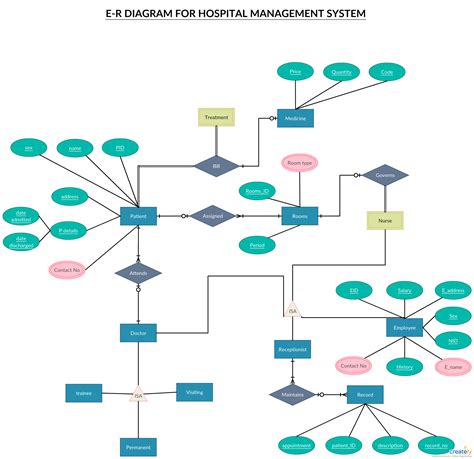 Er Diagram Tutorial Complete Guide To Entity Relationship