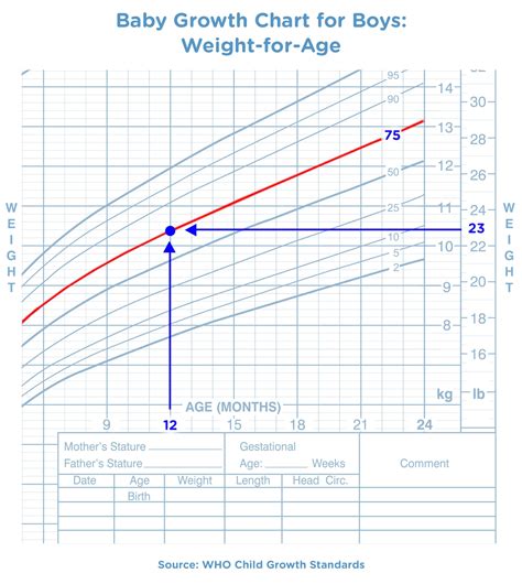 Baby Weight Growth Charts Pampers UK