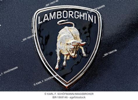 Lamborghini Bull Drawing