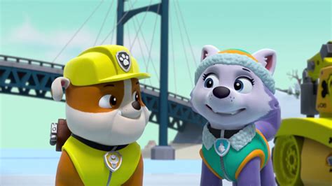 Everest In Season 2 Paw Patrol Photo 40150164 Fanpop