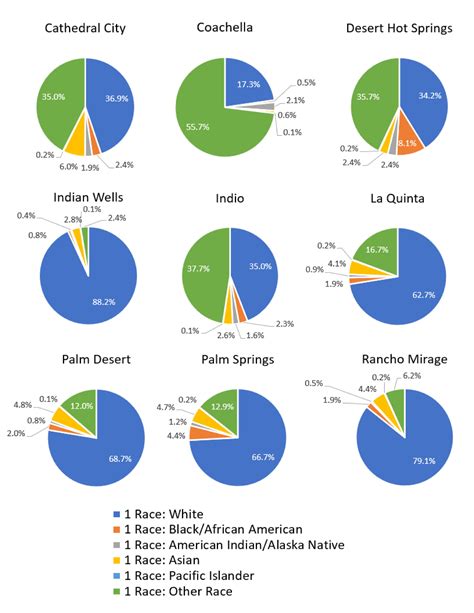 Racial Makeup Of Us Pie Chart Saubhaya Makeup